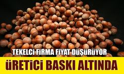 Fındıkta Tekelci Firma Fiyatı Düşürüyor… Üretici Baskı Altında