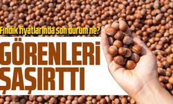 Bugün Fındık Fiyatları Görenleri Şaşırttı! Sabırlı Olan Kazanacak mı?