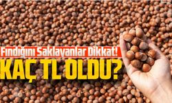Bugün Fındık Kaç TL Oldu? Fındığını Saklayanlar Dikkat!