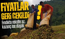 Fındık Fiyatları Geri Çekildi: Bu Şehirde Satışlar Resmen Çakıldı!