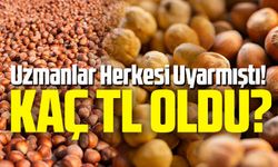 Karadeniz’de Fındık Fiyatları Kaç TL Oldu? Uzmanlar Herkesi Uyarmıştı!