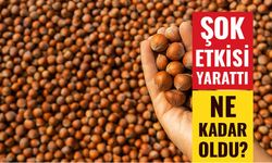 Fındık Fiyatları Şok Etkisi Yarattı: Riskli Fiyata Kadar Geriledi!