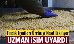 Fındık Fiyatları Tekrar Güncellendi: Uzman İsim Herkesi Uyardı!