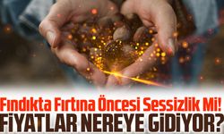 Fındıkta Bugün Fırtına Öncesi Sessizlik! Fiyatlar Nereye Gidiyor?