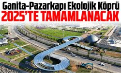 Trabzon’a Yeni Yaşam Köprüsü: Ganita-Pazarkapı Ekolojik Köprü 2025’te Tamamlanacak