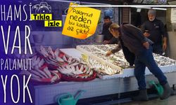 Tezgâhlarda hamsi var, palamut yok: 2025 av sezonu palamut açısından verimsiz geçti