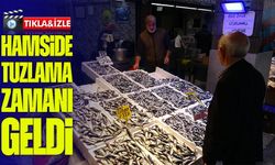 Hamside Tuzlama Zamanı Geldi: Fiyatlar Uygun, Hamsi Bol