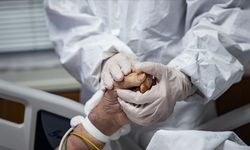 Mediology Nedir? Hasta Eşleştirmesi Nasıl Yapılır?