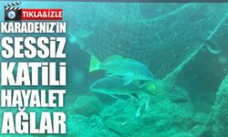 Denizlerin Sessiz Katili: Karadeniz’de Hayalet Ağ Tehlikesi