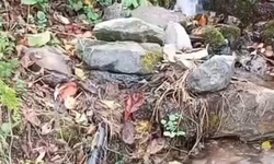 Akçaabat Doğanköy ve Işıklar’da Altyapı Tahribatı: TİSKİ Ekipleri Emeklerinin Ziyan Olduğunu Açıkladı