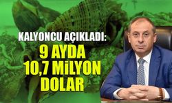 9 Ayda 10,7 Milyon Dolar! Deniz Salyangozu İhracatında Hedef Zirve