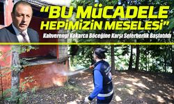 Trabzon’da Kahverengi Kokarca Böceğine Karşı Seferberlik Başlatıldı
