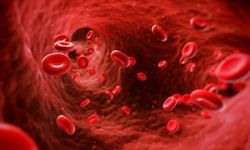Kanama Ve Pıhtılaşma Bozuklukları Nasıl Anlaşılır? Dikkat Edilmesi Gereken Belirtiler Neler?