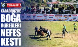 Ardanuç’ta Ertelenen Boğa Güreşleri Festivali Coşkuyla Tamamlandı