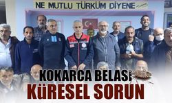 Kokarca Belası Küresel Sorun! Arsin'de Bilgilendirme...