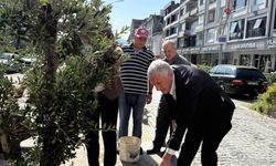 Barışın Sembolü Of'ta Toprakla Buluştu