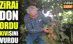 Zirai don Ordu kivisini vurdu: Rekolte 8 bin tondan 4 bine düştü