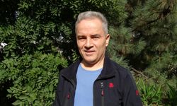 Başıboş Köpekler Yaban Hayatını ve Trafik Güvenliğini Tehdit Ediyor