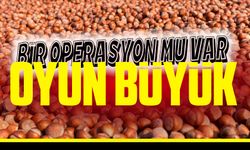 Giresun Ziraat Odası Başkanı Nurittin Karan, Fındıkta oyun büyük mü?