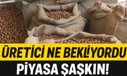 Üretici 400 Lira Beklerken Piyasa Şaşkın Fındık 350’den 280’e Geriledi