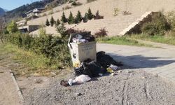 Bu Rezaleti Artvinli Hak Etmiyor! Park Tepkisi Yükseliyor...