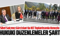 CHP Trabzon Milletvekili Av. Sibel Suiçmez, Gürcistan’da KEİ Toplantısında Ne Konuştu?