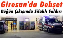 Giresun’da Korkunç Olay: Boşandığı Eşi Silahla Saldırdı, Hayatını Çay Termosu Kurtardı