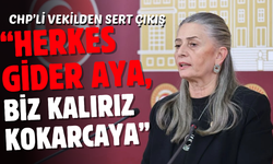 CHP’li Suiçmez’den Tarım Bakanlığı’na “Kokarca” Tepkisi: “Sınıfta Kaldınız!”