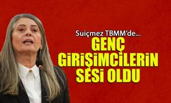 Genç Girişimcilerin Sesi Oldu! Suiçmez TBMM'de Konuştu....