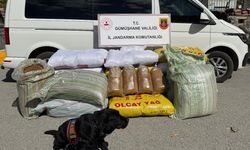Gümüşhane’de Kaçak Tütün Operasyonu: 530 Kilo Ele Geçirildi