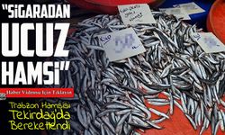 Karadeniz hamsisi bolluğu fiyatları düşürdü: Tekirdağ’da hamsi kilosu 50 TL
