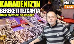 Trabzon'da Hamsinin Kilosu 75 Liraya Düştü: Tezgahlarda Bolluk Yaşanıyor