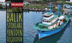 Karadeniz’de Balık Stokları İçin 45 Günlük Araştırma Başladı; Balık Stokları Yeniden Ölçülüyor