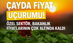 Bugün Çay Fiyatları Ne Kadar Oldu? 2025 ÇAYKUR Ve Özel Sektör İl İl Karşılaştırmalı Liste