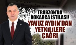 Trabzon'da Kokarca İstilası! Yavuz Aydın'dan Flaş Çağrı
