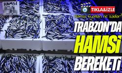Trabzon’da Hamsi Bereketi: Vatandaş Fiyatlardan Memnun