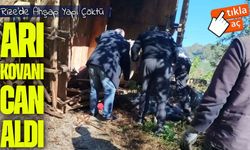 Rize’de Arı Kovanı Yapısı Çöktü: 2 Kişi Hayatını Kaybetti