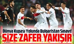 A Milli Takım İçin Kritik Gece: Dünya Kupası Yolunda Bulgaristan Sınavı!