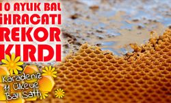 Doğu Karadeniz’in 10 Aylık Bal İhracatı 1,8 Milyon Doları Aştı