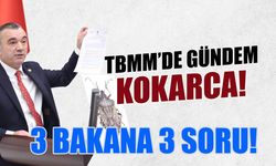 Yavuz Aydın'dan 3 Bakan 3 Soru Önergesi! Gündem Kokarca