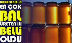 Ordu, Türkiye’nin Bal Üretiminde Zirvede: 16 Bin 750 Tonla Rekor Kırdı