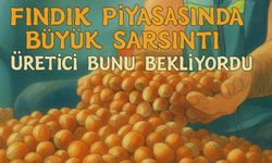 Bugün Fındık Piyasasında Büyük Sarsıntı: Üreticiyi Sevindiren, Tüccarı Zorlayan Yükseliş