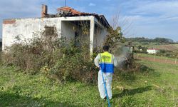 Bafra'da kahverengi kokarcaya karşı kışlak mücadelesi başlatıldı