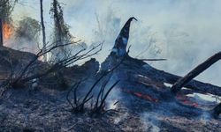 5 Hektar Kül Oldu! Yangınla Mücadele Sürüyor...