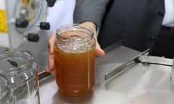 Artvin'de bal dolum ve paketleme tesisi hizmete açıldı