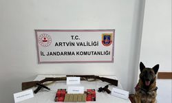Artvin'de silah kaçakçılığı operasyonu