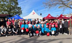 Giresun'da Kızılay Haftası kutlandı