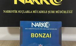 Ordu'da uyuşturucu ele geçirilen otomobildeki 3 kişi tutuklandı