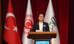 Rize'de 'Yükseköğretim Öğrencilerine Yönelik Ayrımcılığın Önlenmesi' konferansı düzenlendi