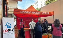 Samsun'da LÖSEV'in 'Mutlu Et' paketleri ihtiyaç sahiplerine ulaştı